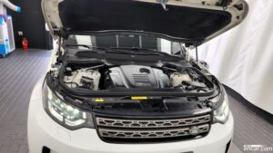 Land Rover Discovery 2.0 SD4 SE 2019 года из Южной Кореи