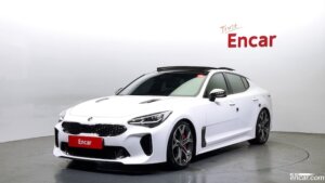 Kia Stinger 2.0 Turbo 2WD 2019 года из Южной Кореи