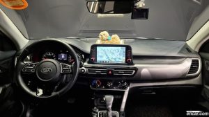Kia Seltos Бензин 1.6 Turbo 2WD 2021 года из Южной Кореи