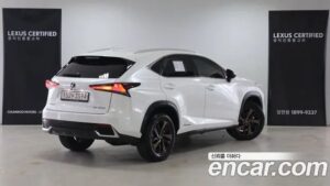 Lexus NX Executive 2021 года из Южной Кореи