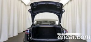 Tesla Model 3 LONG RANGE 2020 года из Южной Кореи