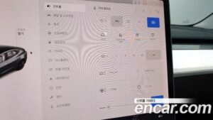 Tesla Model 3 Performance 2020 года из Южной Кореи