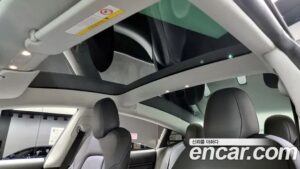 Tesla Model 3 Performance 2020 года из Южной Кореи