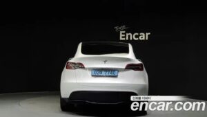 Tesla Model Y LONG RANGE 2021 года из Южной Кореи