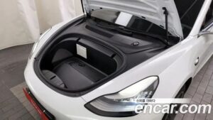 Tesla Model 3 LONG RANGE 2020 года из Южной Кореи