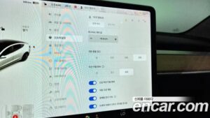 Tesla Model 3 Performance 2020 года из Южной Кореи