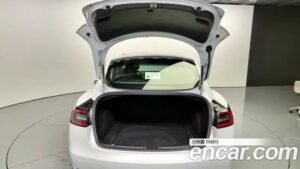 Tesla Model 3 Performance 2020 года из Южной Кореи