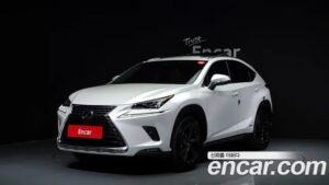 Lexus NX Executive 2020 года из Южной Кореи