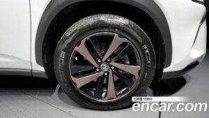 Lexus NX Executive 2020 года из Южной Кореи