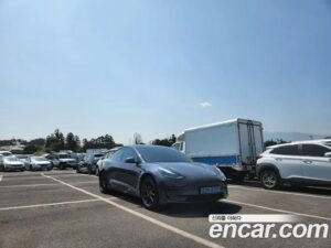 Tesla Model 3 LONG RANGE 2020 года из Южной Кореи