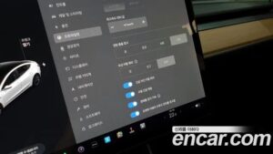 Tesla Model 3 Performance 2020 года из Южной Кореи