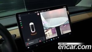 Tesla Model 3 Performance 2020 года из Южной Кореи