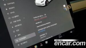 Tesla Model 3 Performance 2020 года из Южной Кореи