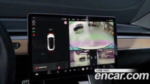 Tesla Model 3 Performance 2020 года из Южной Кореи