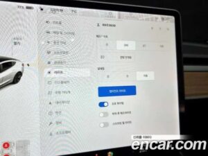 Tesla Model 3 LONG RANGE 2020 года из Южной Кореи