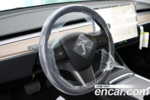Tesla Model 3 Standard RANGE Plus 2022 года из Южной Кореи