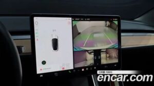 Tesla Model 3 Performance 2020 года из Южной Кореи