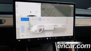 Tesla Model 3 Performance 2020 года из Южной Кореи