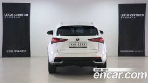 Lexus NX Executive 2020 года из Южной Кореи