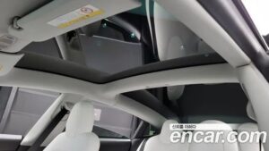 Tesla Model 3 LONG RANGE 2020 года из Южной Кореи