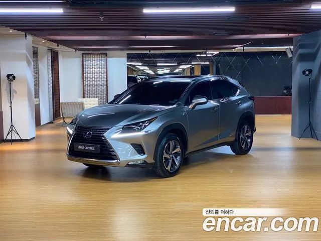 Lexus NX SUPREME 2019 года из Кореи