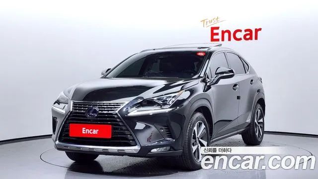 Lexus NX SUPREME 2019 года из Кореи