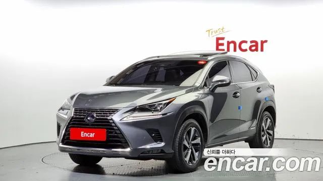 Lexus NX SUPREME 2019 года из Кореи