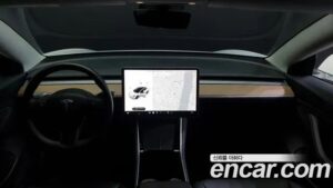 Tesla Model 3 Performance 2020 года из Южной Кореи