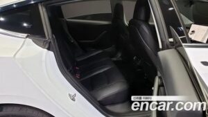 Tesla Model 3 Performance 2020 года из Южной Кореи