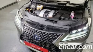 Lexus RX Executive 2021 года из Южной Кореи