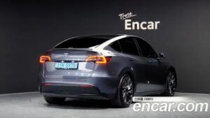 Tesla Model Y Performance 2021 года из Южной Кореи