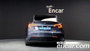 Tesla Model Y Performance 2021 года из Южной Кореи