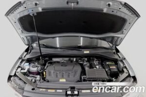 Volkswagen Tiguan 2.0 TSI Prestige 2022 года из Южной Кореи