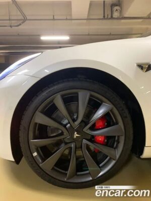 Tesla Model 3 Performance 2020 года из Южной Кореи