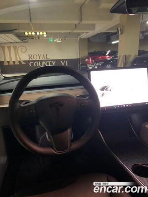 Tesla Model 3 Performance 2020 года из Южной Кореи