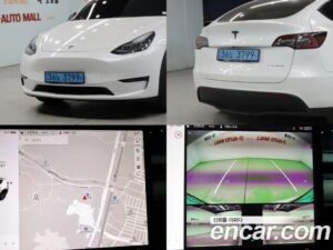Tesla Model Y LONG RANGE 2022 года из Южной Кореи