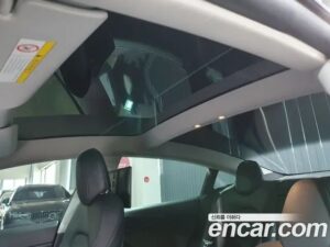 Tesla Model 3 Performance 2020 года из Южной Кореи