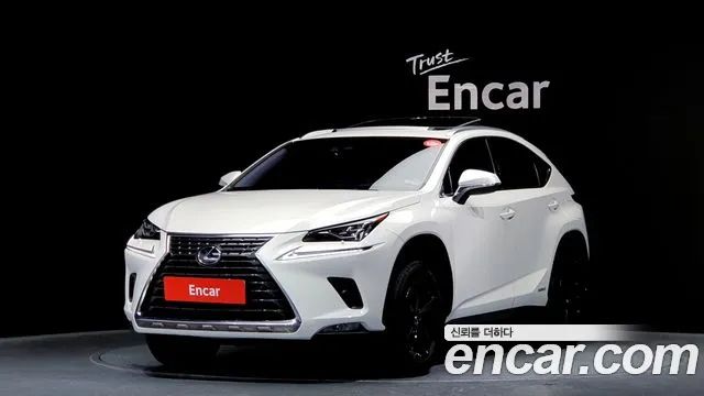 Lexus NX Executive 2019 года из Кореи