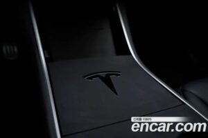 Tesla Model 3 Performance 2020 года из Южной Кореи