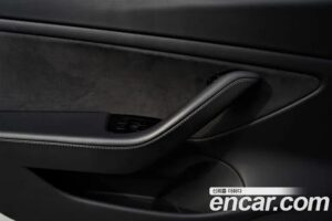 Tesla Model 3 Performance 2020 года из Южной Кореи