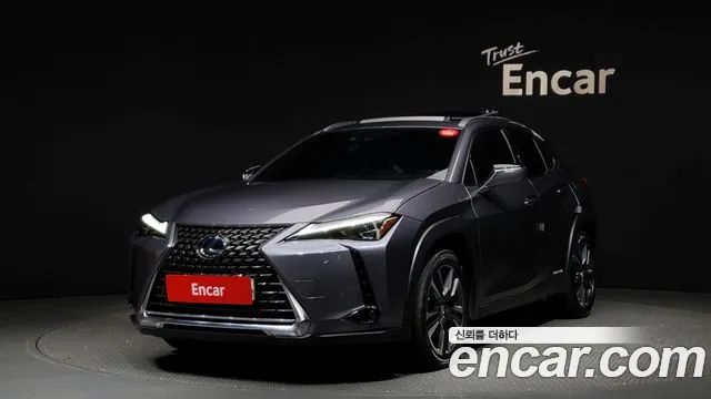 Lexus UX 2.0 AWD 2019 года из Кореи