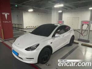 Tesla Model Y Standard RANGE 2021 года из Южной Кореи