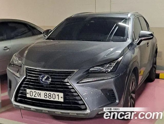 Lexus NX Executive 2019 года из Кореи