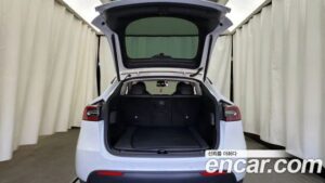 Tesla Model Y Performance 2021 года из Южной Кореи