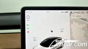 Tesla Model 3 Performance 2021 года из Южной Кореи