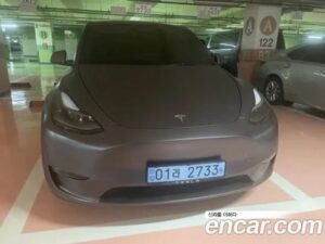 Tesla Model Y Performance 2021 года из Южной Кореи