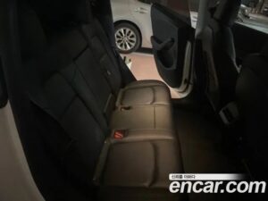 Tesla Model Y Performance 2021 года из Южной Кореи