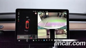 Tesla Model 3 LONG RANGE 2020 года из Южной Кореи