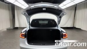 Tesla Model 3 LONG RANGE 2022 года из Южной Кореи
