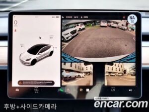 Tesla Model 3 Performance 2022 года из Южной Кореи